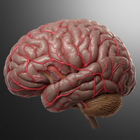 Gebryuik je onderbewustzijn bij het doen van kantoorwerk